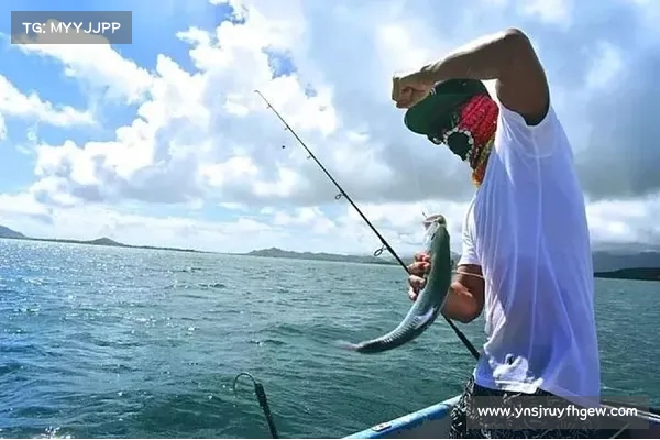 海钓探险之旅 激动与挑战并存的刺激体验 海钓探险之旅 激动与挑战并存的刺激体验